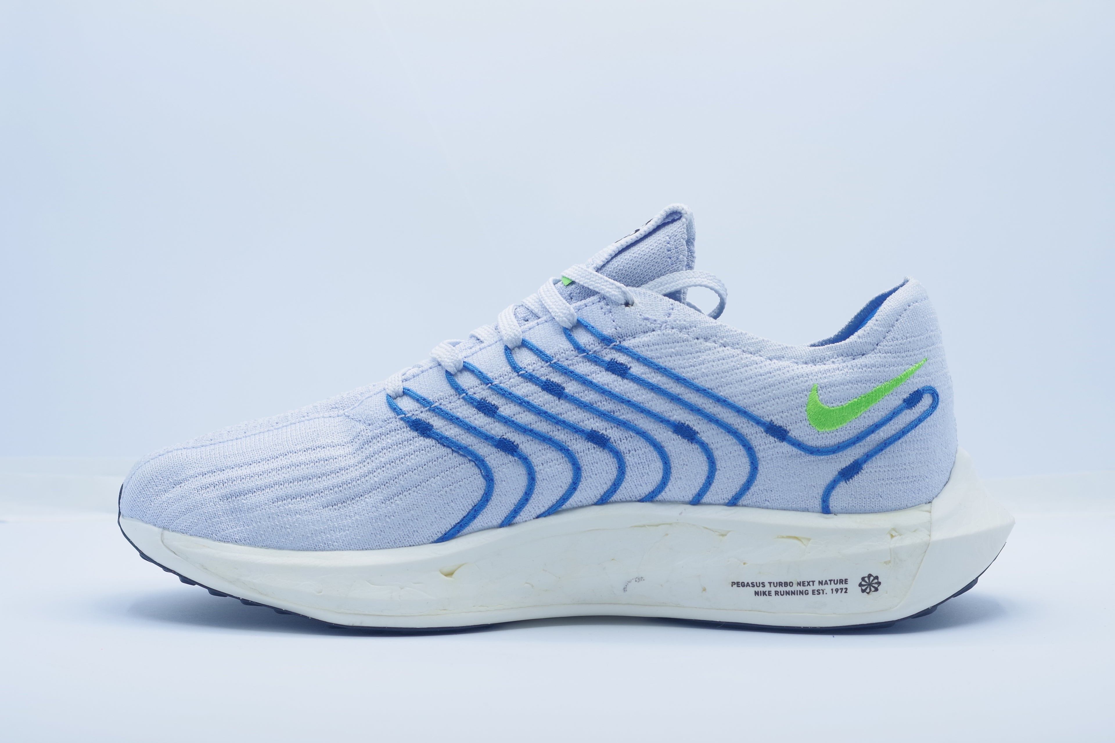 Nike Pegasus Turbo     (DM3413-006)