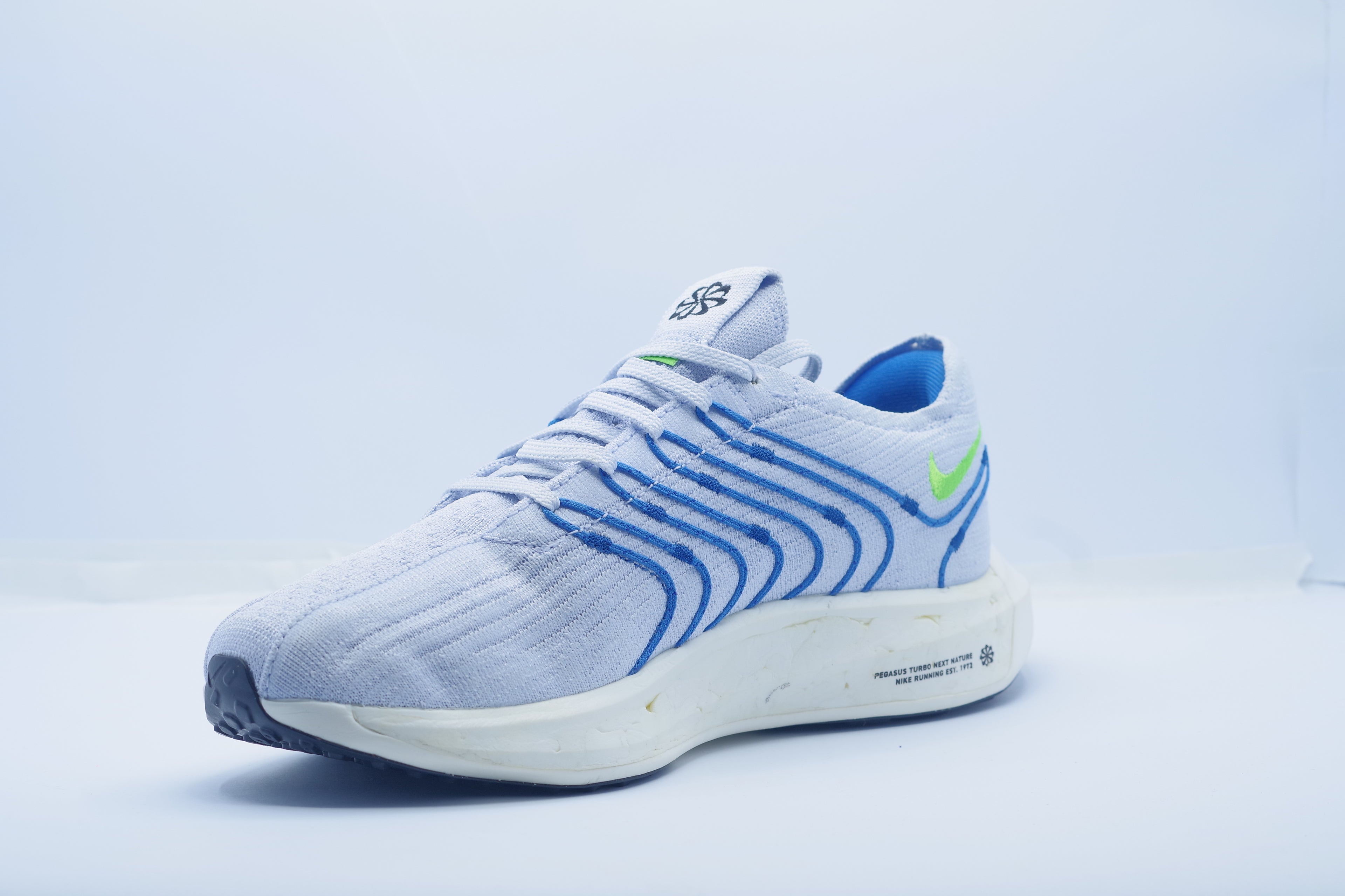 Nike Pegasus Turbo     (DM3413-006)